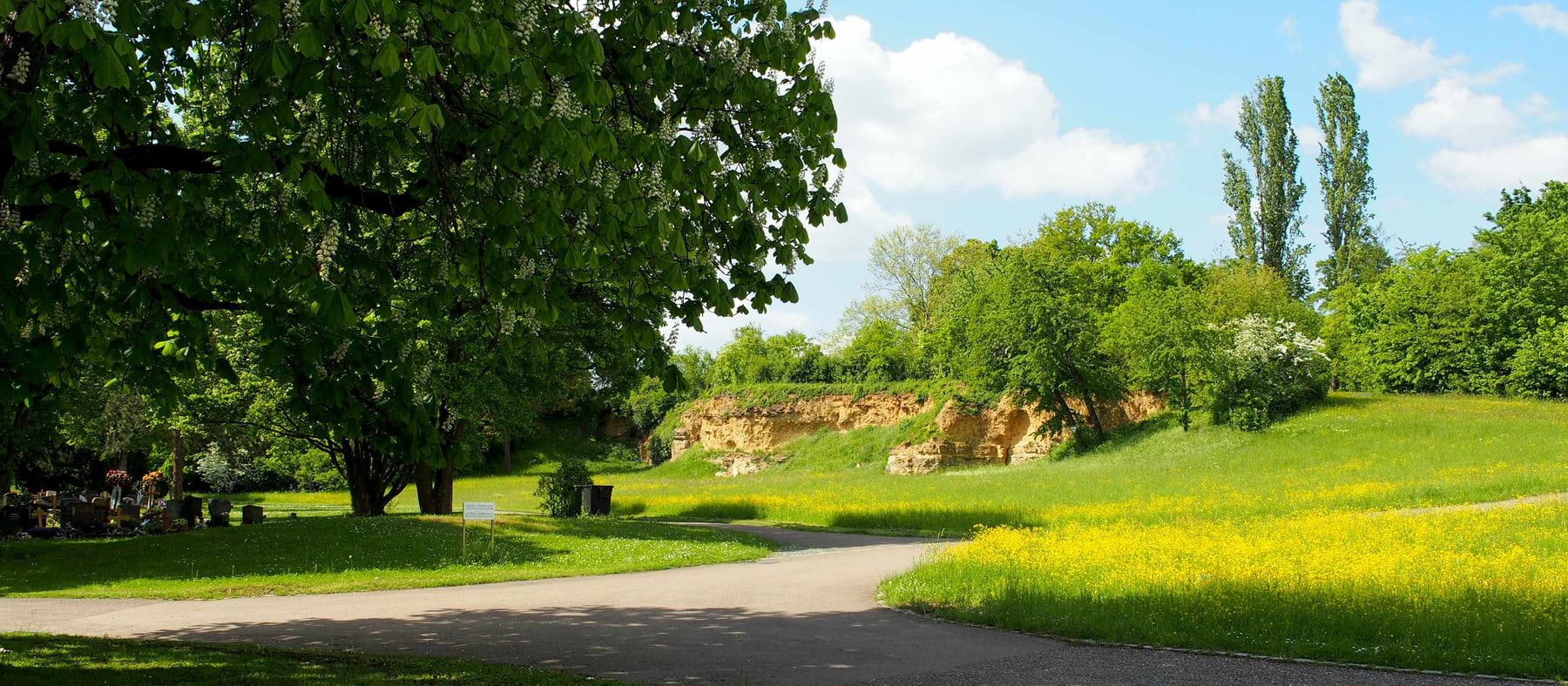 Offene Rasenfläche mit altem Baumbestand und freiliegender Felswand auf Friedhof Zuffenhausen